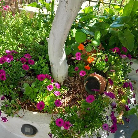 Studio In Garden Порос Экстерьер фото