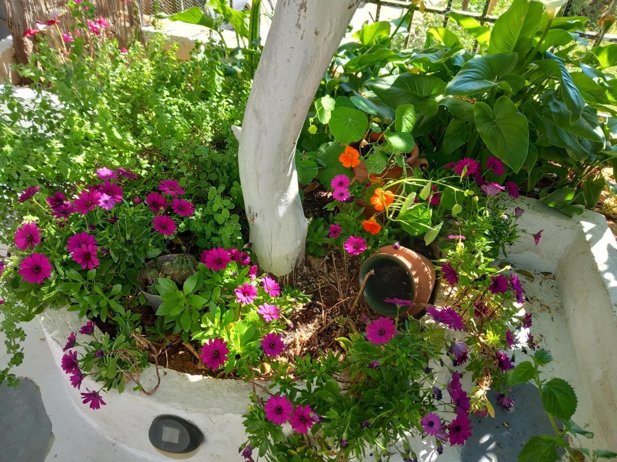Studio In Garden Порос Экстерьер фото